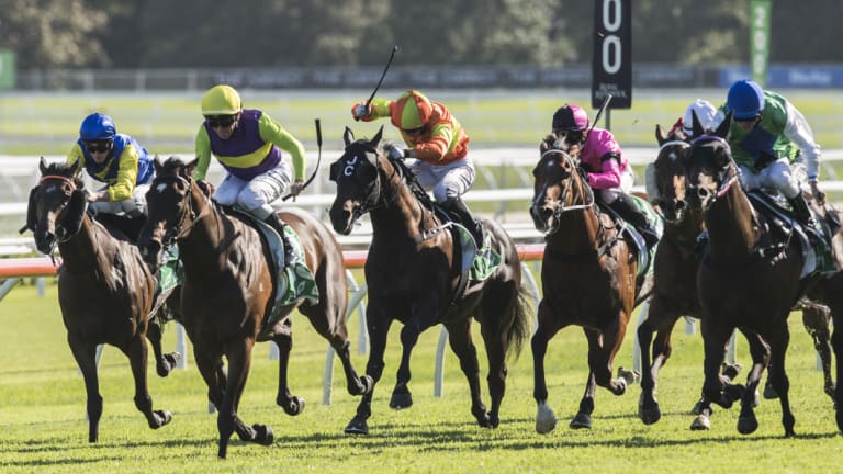 There are nine races for punters at Royal Randwick today.