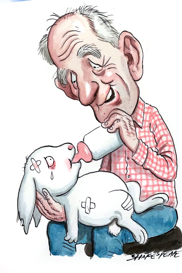 Will the Bunnies rise again under Wayne Bennett?