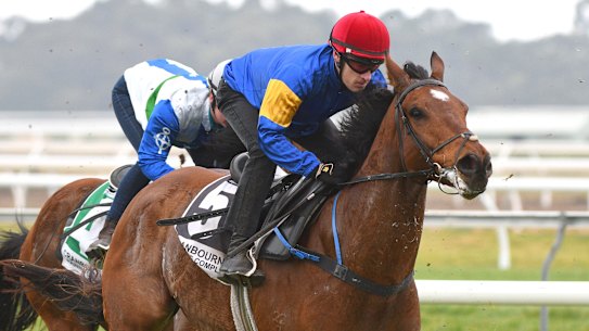 Mark Zahra on board Santa Ana Lane at the Cranbourne trials.