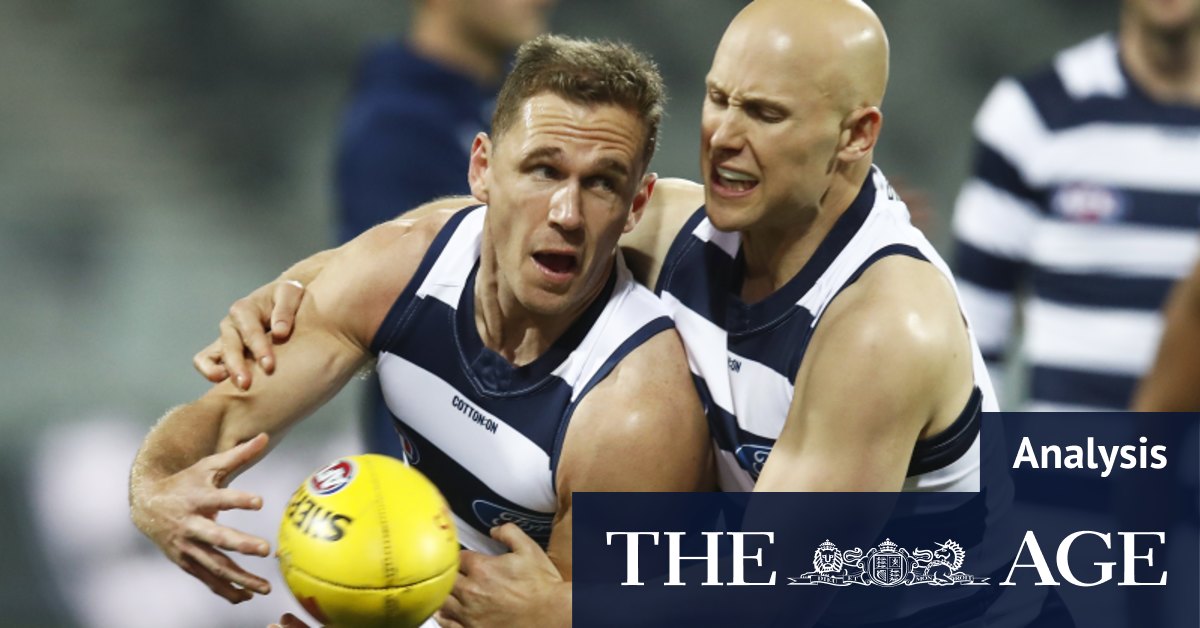 Once In A Generation Cats And There S Two Of Them