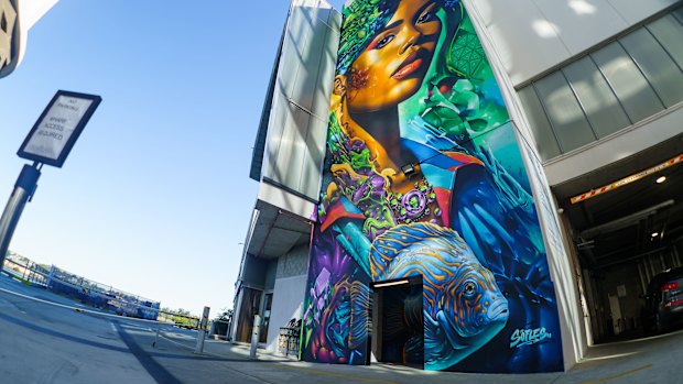 A mural by street artist Sofles at Northshore Hamilton.