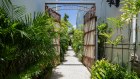 The Bonython is full of lush tropical plants.