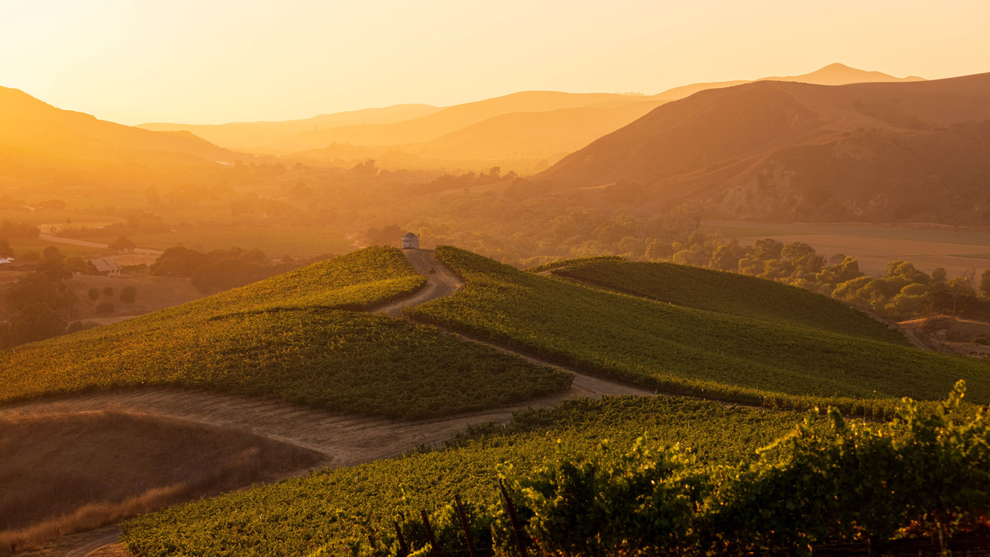 US travel: Santa Ynez Valley in California offers a delicious mix of ...