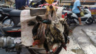 Chickens outside the Orussey market, in Phnom Penh, Cambodia