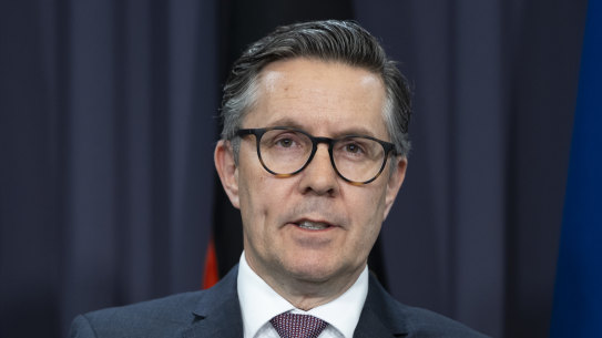 Health Minister Mark Butler.