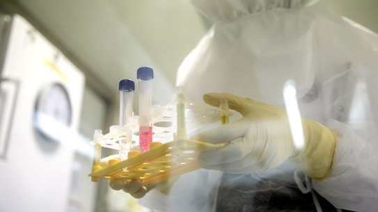 Scientists are working on a vaccine for COVID-19, but there is no cure for the disease yet.