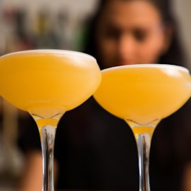 Cocktails at Pallino Bar.