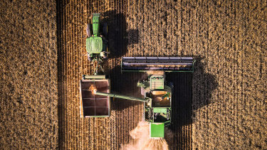 After years of drought in NSW, Queensland and parts of Victoria, farmers are enjoying a record-breaking grains harvest. 