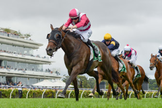 Inspirational Girl knocked off Zaaki in the Blamey Stakes. They’re two of the main dangers in Saturday’s All-Star Mile.