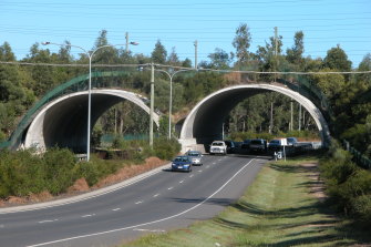 The “smart mammal bridge” over Compton Road, Queensland.