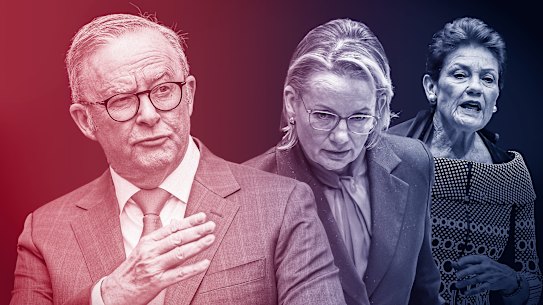 Anthony Albanese retains a commanding lead but the major parties have retreated and One Nation has gained.