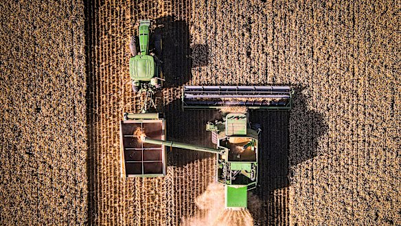 After years of drought in NSW, Queensland and parts of Victoria, farmers are enjoying a record-breaking grains harvest. 