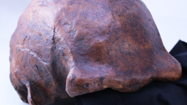 A cast of one of the skull caps found at Ngandong.
