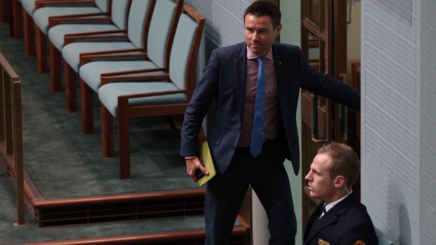 Andrew Laming in Parliament on Wednesday.