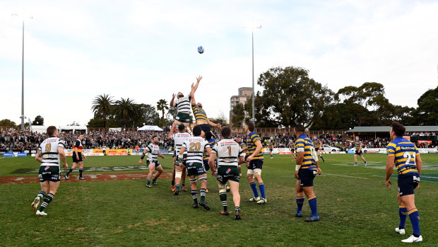 Disparity: More people attended the Shute Shield final at North Sydney Oval than the Waratahs' Super quarter-final.