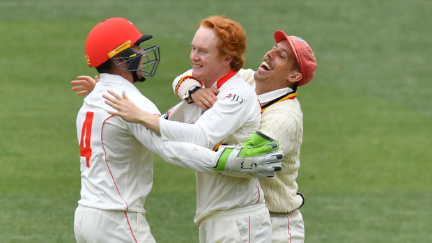 Marginalised: The Sheffield Shield was the envy of world cricket.
