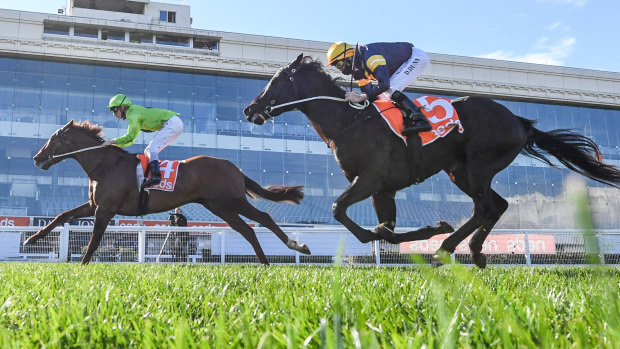Our Playboy (No.4), ridden by Ben Melham, wins the Vain Stakes over Ranting (No.5) at Caulfield on Saturday.