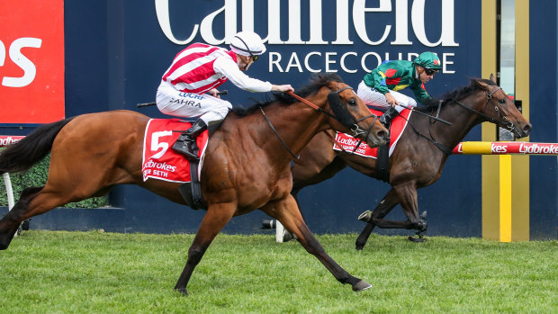 Super Seth swoops down the outside to beat Alligator Blood in the Caulfield Guineas.