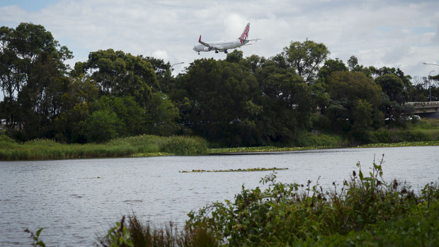 The engine pond at Sydney Airport.