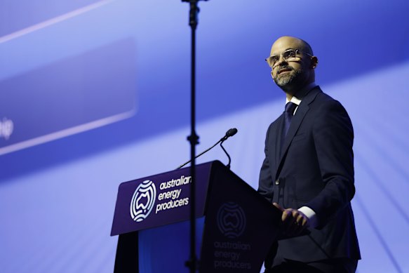 Queensland Treasurer and Energy Minister David Janetzki announced the plan earlier this month. 