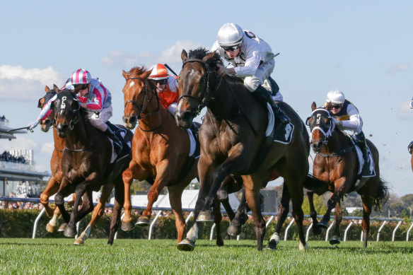 Michael Dee guides Lunar Flare to victory in the Bart Cummings at Flemington.