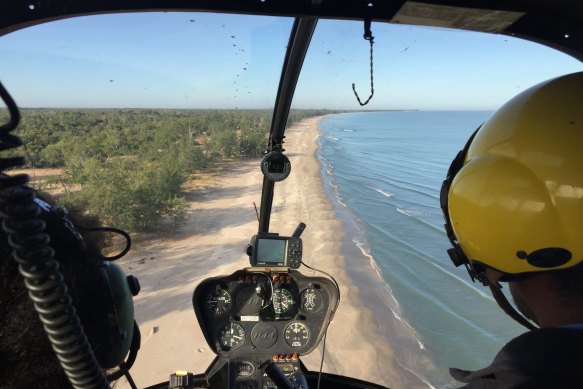 Helicopters scan remote beaches for turtle and predator tracks. 