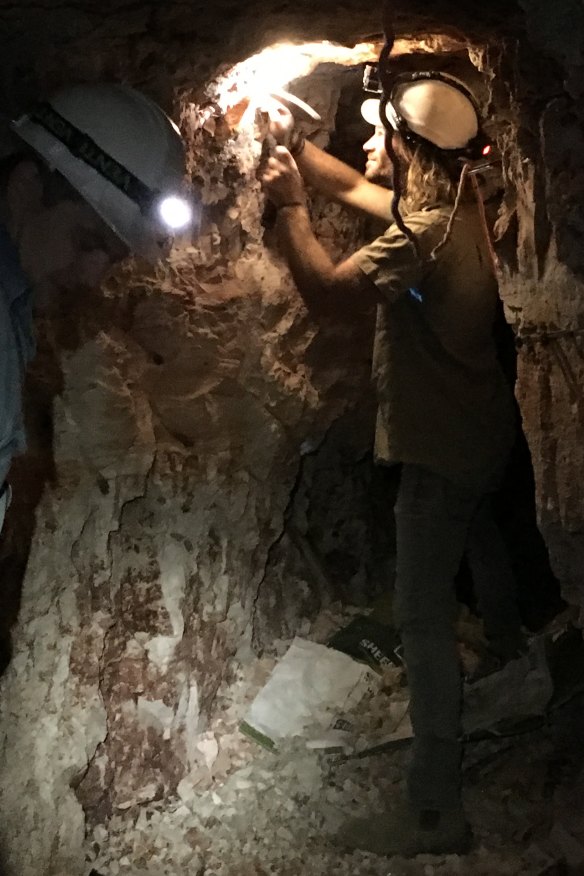 Paleontologist Phil Bell excavating for opalised fossils in the Lightning Ridge mine.