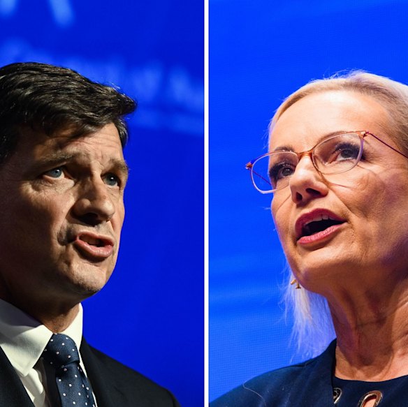 Angus Taylor and Sussan Ley will contest the Liberal Party leadership.