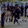 Police and sniffer dogs at the Listen Out Festival in Sydney last September.