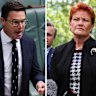 Nationals leader David Littleproud and One Nation leader Pauline Hanson.