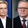The challenge ahead for Sussan Ley is enormous. But the first post-election poll by RPM also highlights the challenges for Anthony Albanese.