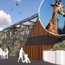 ‘Too many structures, too much concrete’: Taronga Zoo at risk of overdevelopment