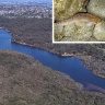 Manly Dam's ancient climbing fish have a new threat to scale