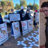 Boston King, 18, is ushered into Midland Magistrates Court after clashing with protesters outside ahead of his sentencing for deliberately killing 11 kangaroos. Picture: Nine News Perth