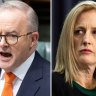 Albanese stands by Gallagher after Higgins texts leak