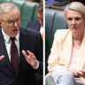 Plibersek made a vow on environmental reforms. Albanese has put that at risk