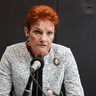  One Nation leader Senator Pauline Hanson