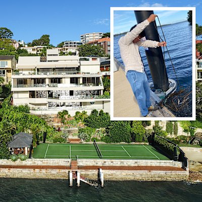 The ‘best property in Sydney’, and one businessman’s extraordinary effort to buy it