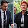 Nationals leader David Littleproud and One Nation leader Pauline Hanson. 