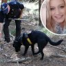 ‘So heartbreaking’: Family wait anxiously as police scour forest for missing woman