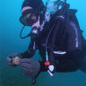 Ancient artefacts found at long-lost underwater site off Australian coast