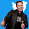 I don’t care whether Musk is CEO. I’m a #twemainer