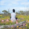 Composite image: The everlasting season brings with it a rush of visitors to regional WA. INSET: Thelymitra porphyrosticta, Southern Queen of Sheba.
