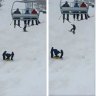 Snowboarder plummets from Perisher chairlift