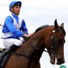 The Everest contender Hawaii Five Oh and part-owners Gerry Harvey and John Singleton.