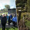 Why trees in this east Melbourne suburb are disappearing at night