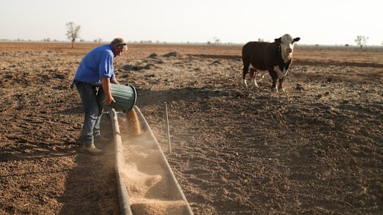 Climate action is among the key issues for many voters this election campaign.