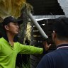 Tim Chen (right) whose roof came off talks with neighbour Josh Yeo (left) whose property was impacted when the roof flew in to his home during last nights storms. Carlingford, NSW. January 16, 2025. Photo: Kate Geraghty