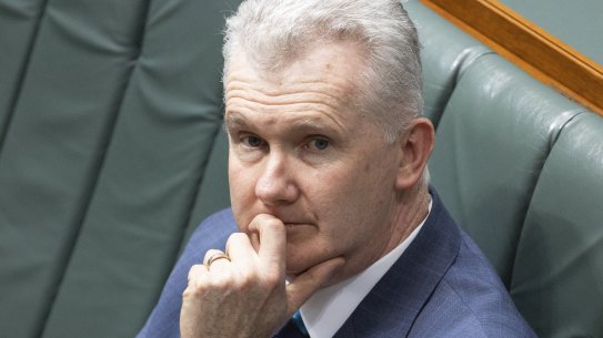 Workplace Relations Minister Tony Burke. 