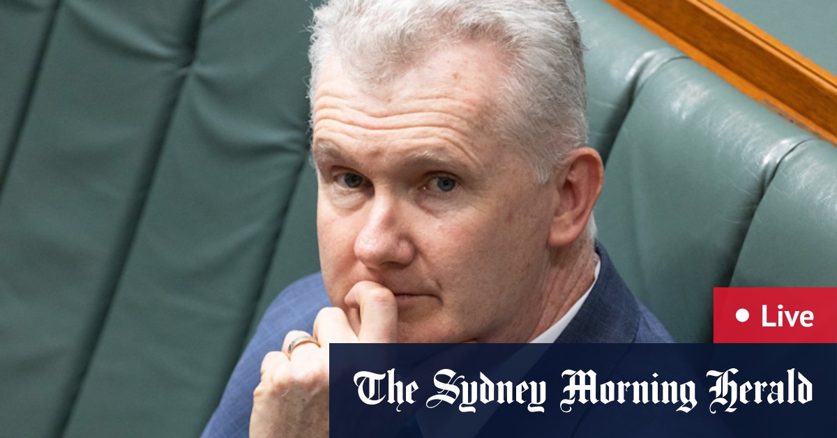 Australia news LIVE: Suspected visa scams choking immigration system; Labor to replace building watchdog - Vimarsana News